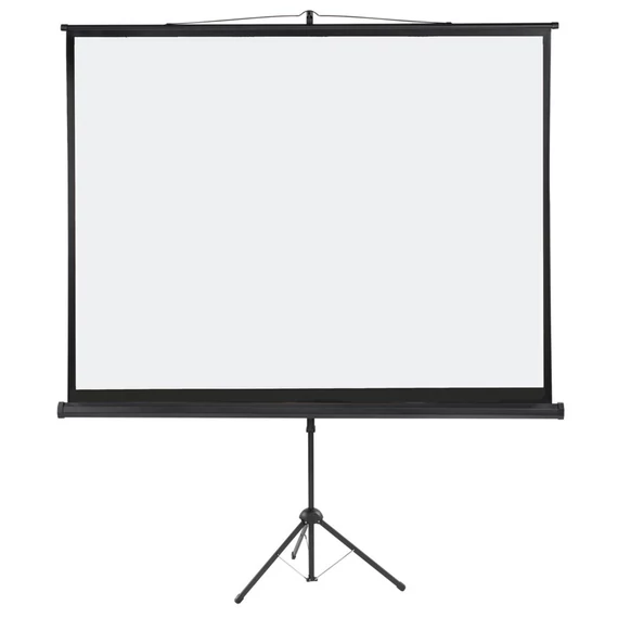 Vetítővászon, hordozható,1:1, 200x200cm, ValueLine  LWST220 Franken